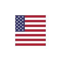 WWII Americans