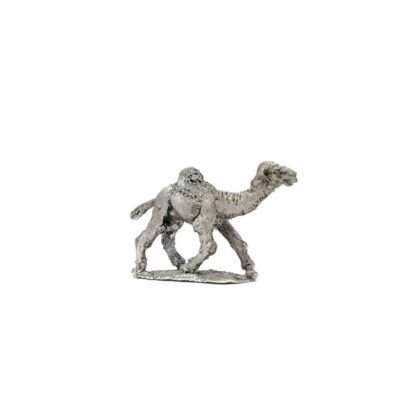 FA7 15mm Camels Galloping