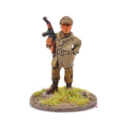 W-AP1 WWII American Airborne Command picture 1
