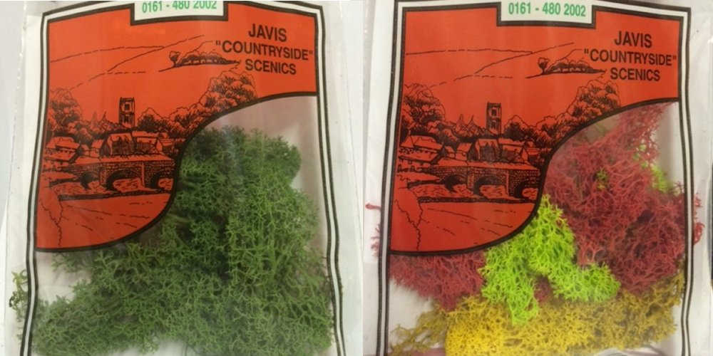 Our Range of Javis Assorted Lichen