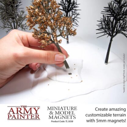 TL5038 Miniature & Model Magnets